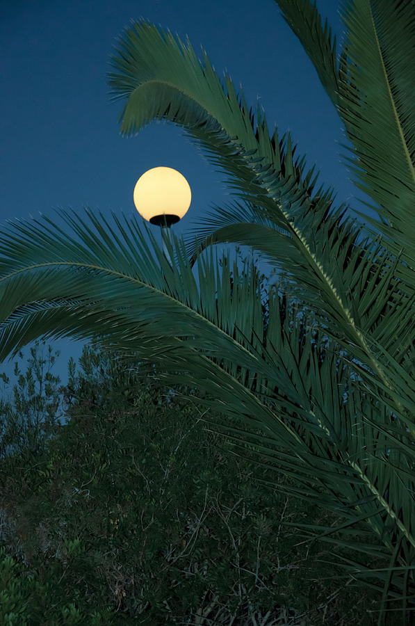 Moon lamp Photograph by Ingela Christina Rahm