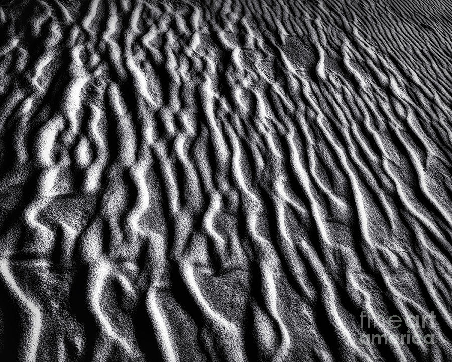 Moon Light on Beach Sand 2 Photograph by Walt Foegelle