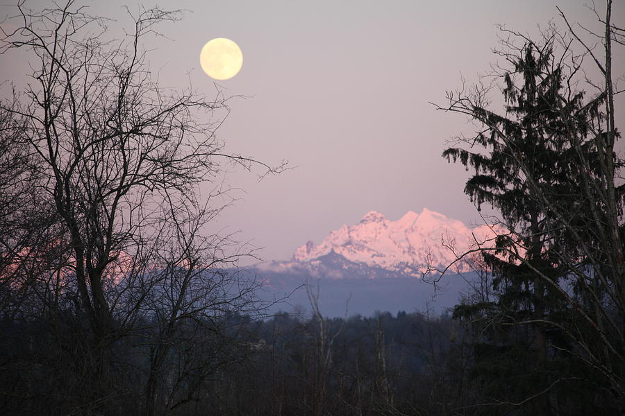 Moon Light On The Mountain Photograph by Donald Torgerson
