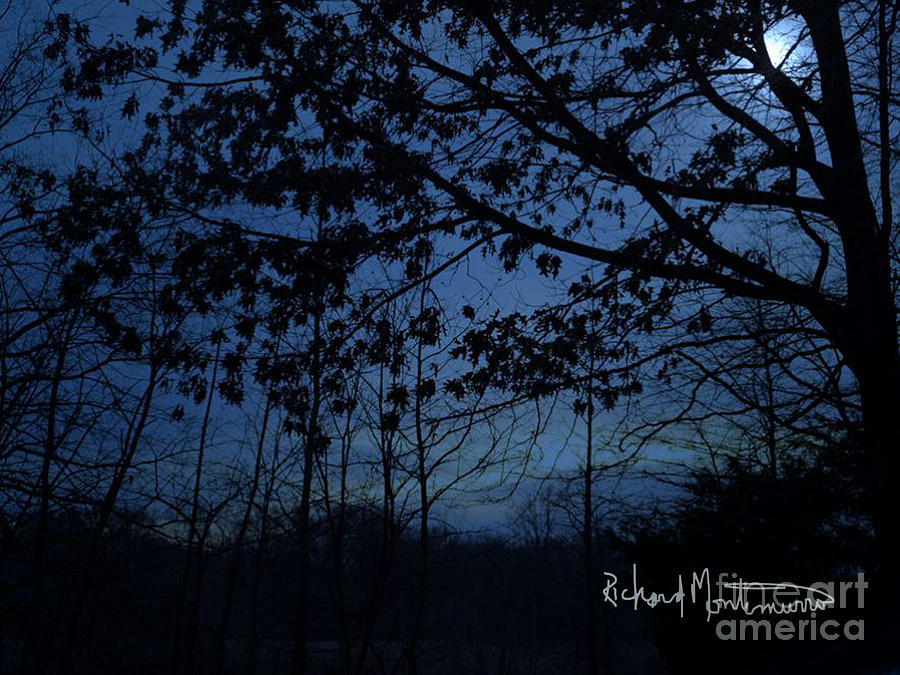 Moon Lit Night Photograph by Richard  Montemurro