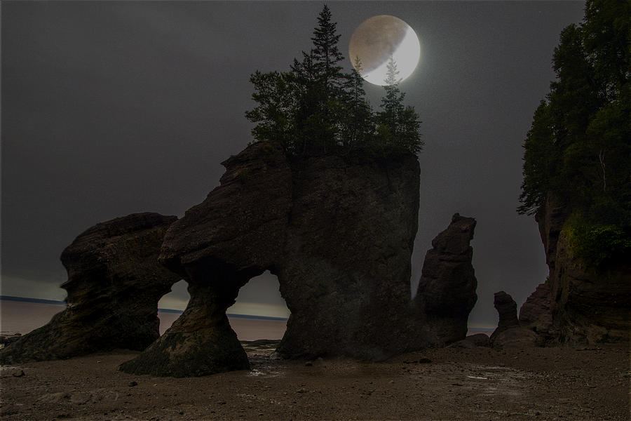 Moon Lite Night Photograph by Will Burlingham