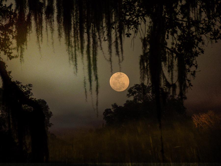 Moon Mists Photograph by John Stokes