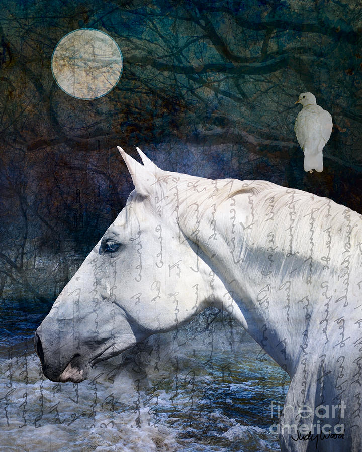 Moon Mysteries Digital Art by Judy Wood