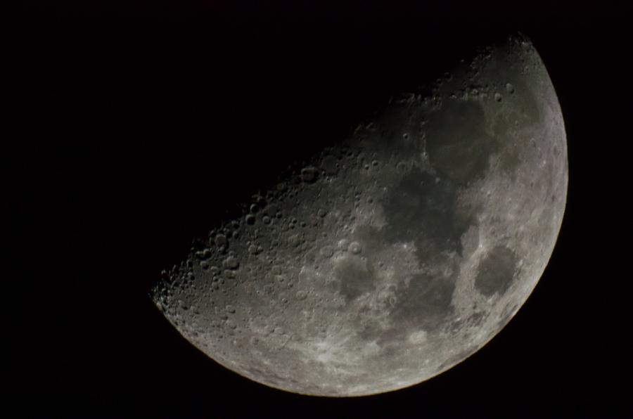 Moon Photograph by Natasha Bishop