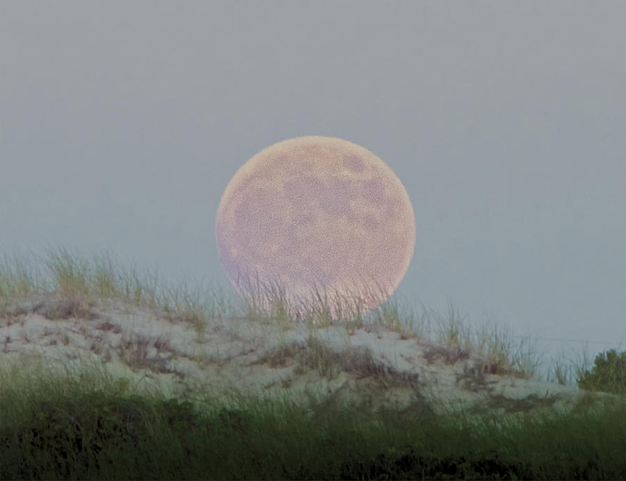 Moon On A Dune Photograph by Constantine Gregory