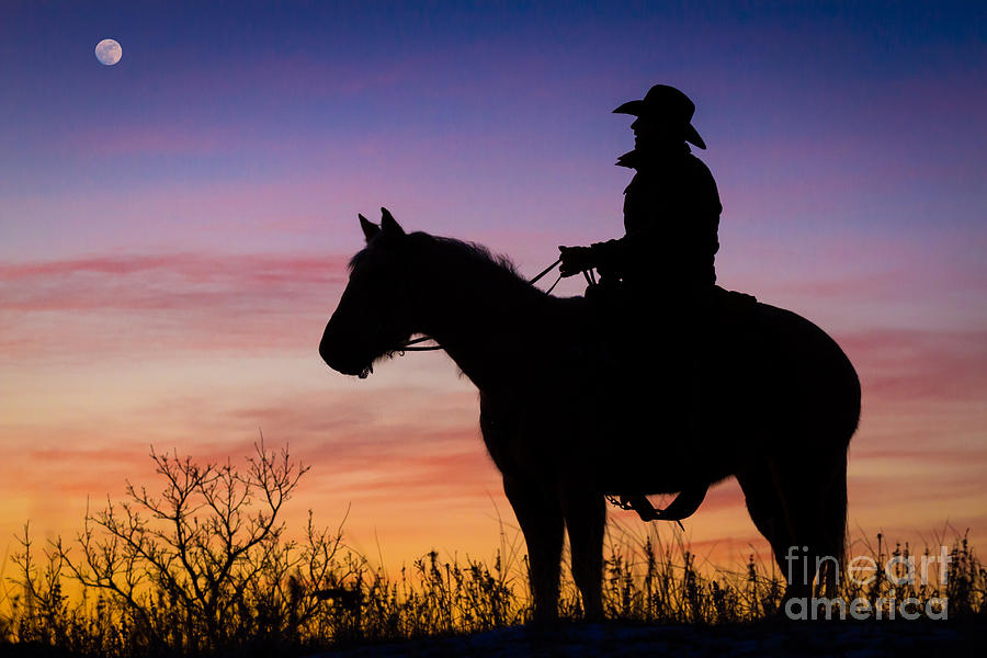 Horse Photograph - Moon on the Range by Inge Johnsson