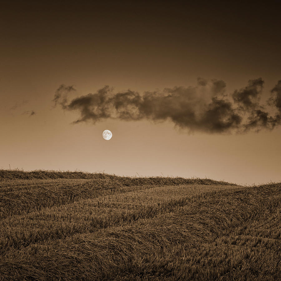 Moon On Wolds Photograph by Tony Mclean
