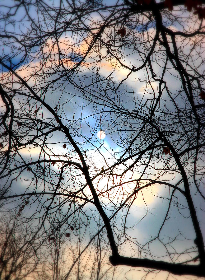 Tree Photograph - Moon or Sun2 by Valentino Visentini