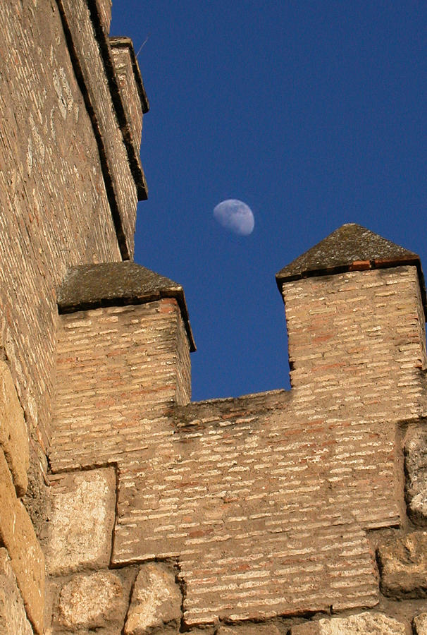 Moon over Alcazar Photograph by Michael Kirk