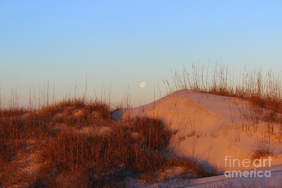 Moon Over Dunes Photograph by Andre Turner