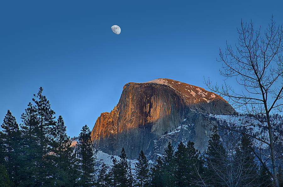 Moon Over Half Dome Photograph by Armando Picciotto