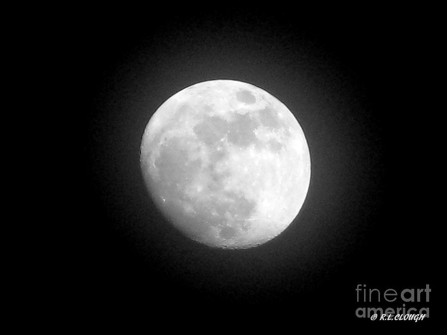 Moon Over Head 2010. No.1 Photograph