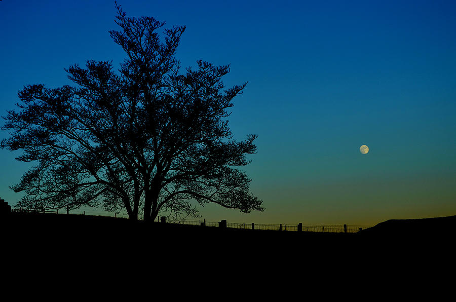 Moon Over McCormick Photograph by Cathy Shiflett