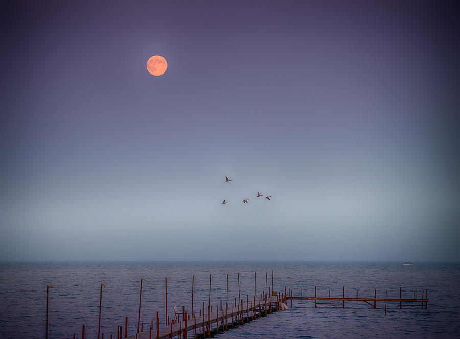 Moon Over Lake Mille Lacs Photograph by Paul Freidlund