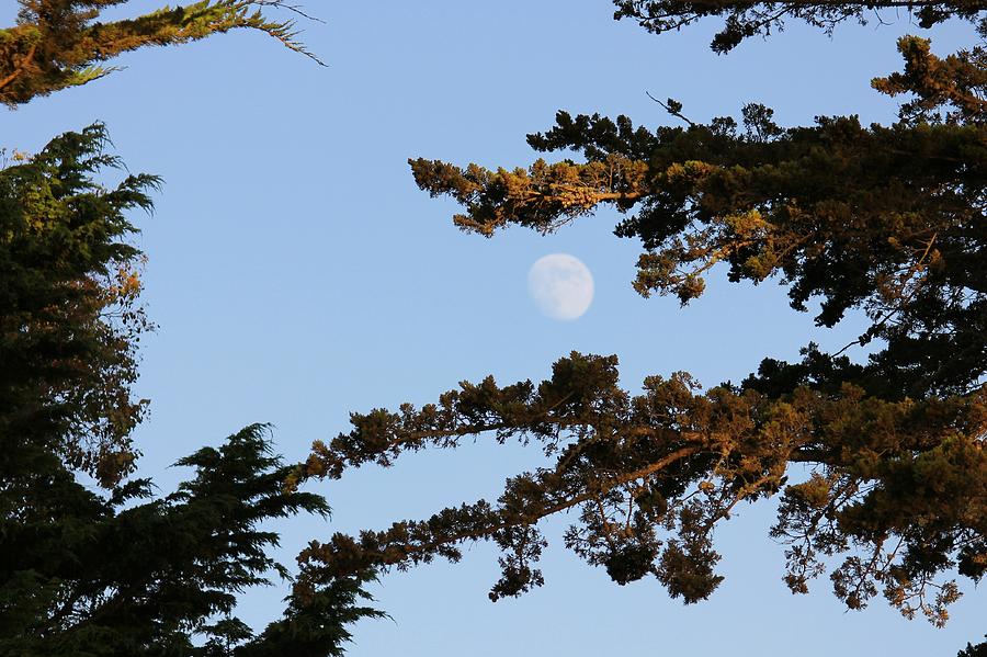Moon Over Morro Bay Photograph by Douglas Miller