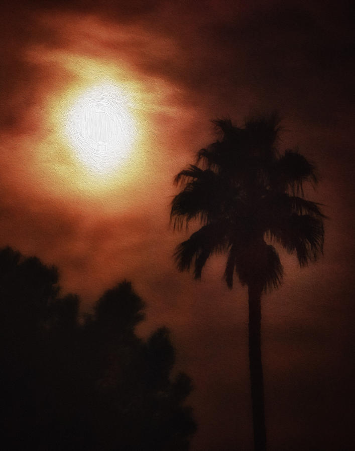 Moon over Palm Springs Photograph by Sandra Selle Rodriguez