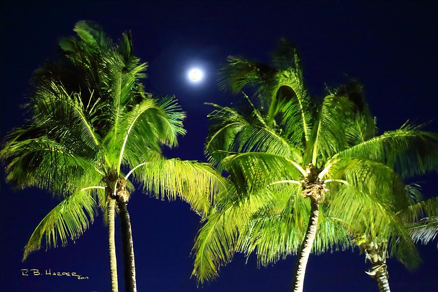 Moon over Palms Photograph by R B Harper