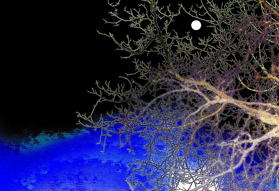 Abstract Digital Art - Moon Over Sapphire Pond by Will Borden