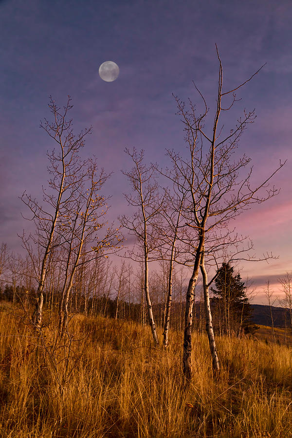 Moon Over Shadow Mountain Photograph by Kathleen Bishop