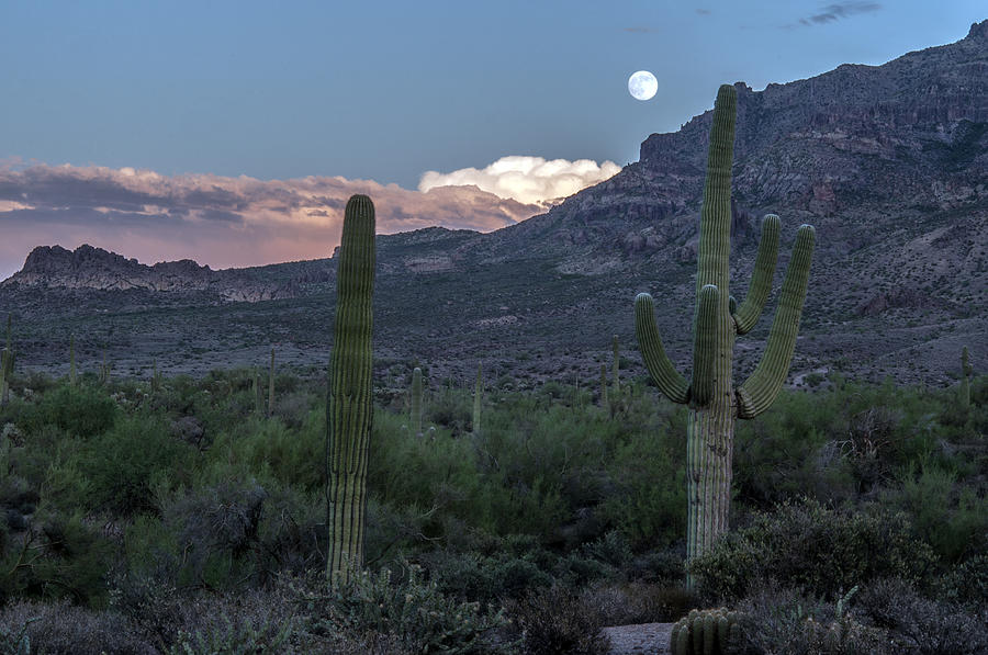 Moon Over Superstition Mountain Photograph by Tam Ryan