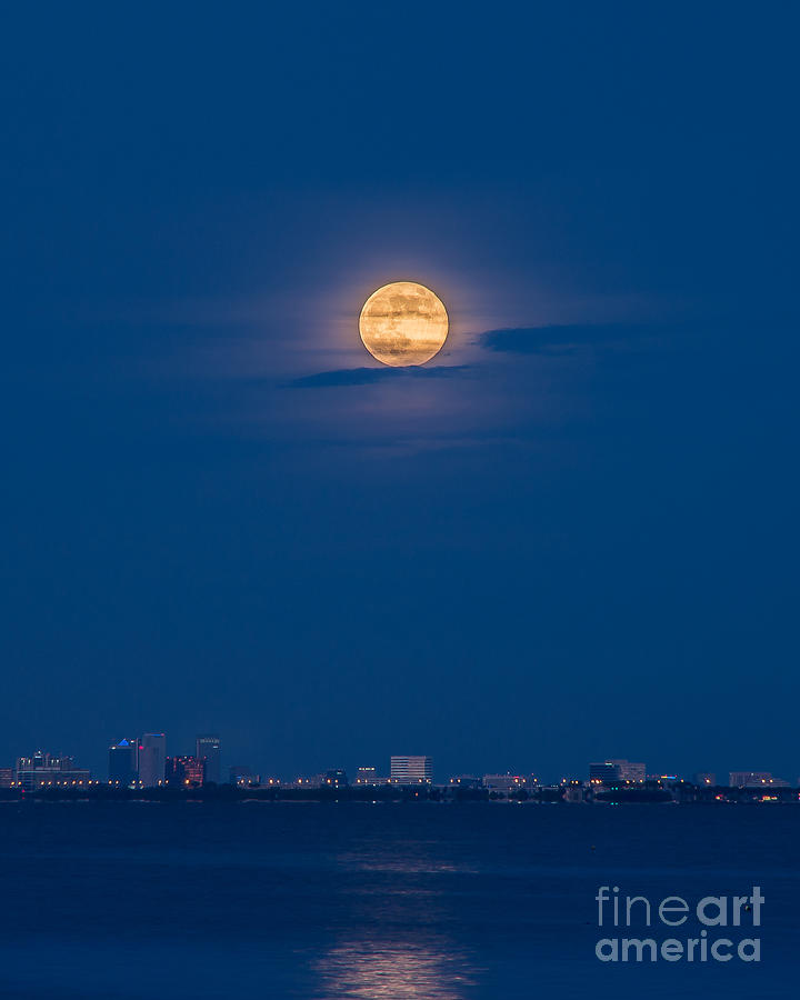 Moon Over Tampa Bay Photograph by Stephen Whalen