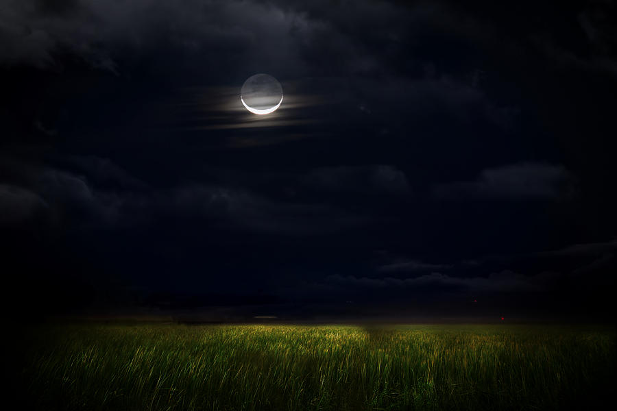 Goodnight Moon Photograph by Mark Andrew Thomas