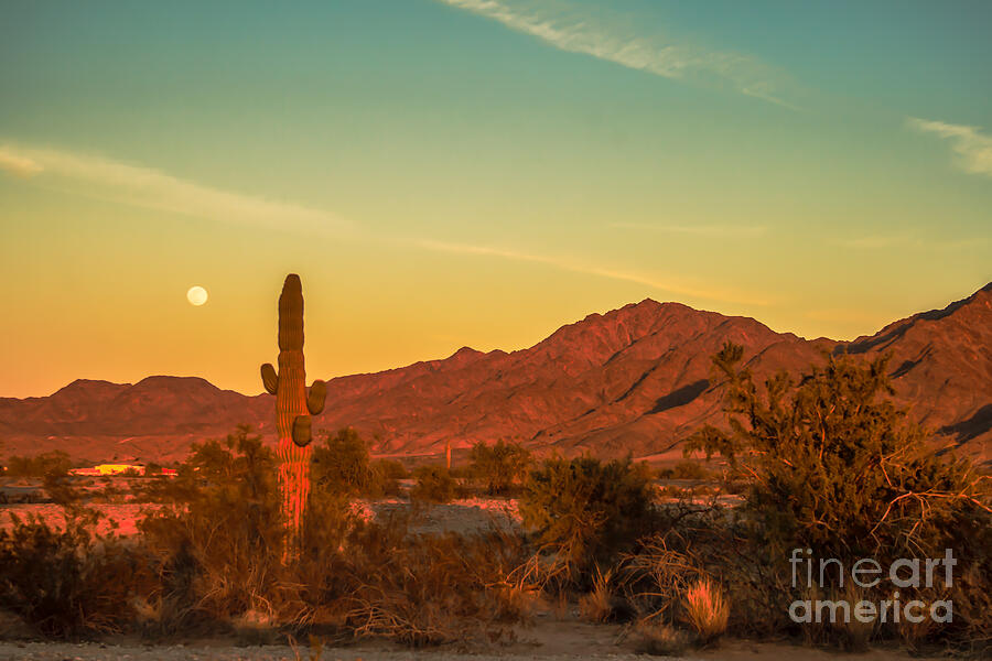 Moon Over The Sonoran Desert Photograph by Robert Bales
