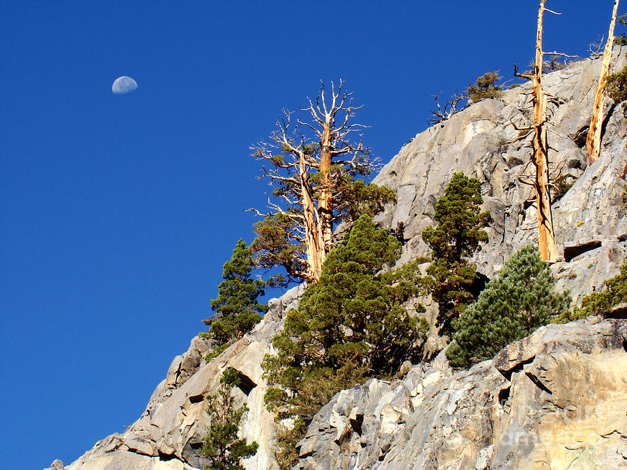 Yosemite National Park Photograph - Moon over Yosemite by Eva Kato