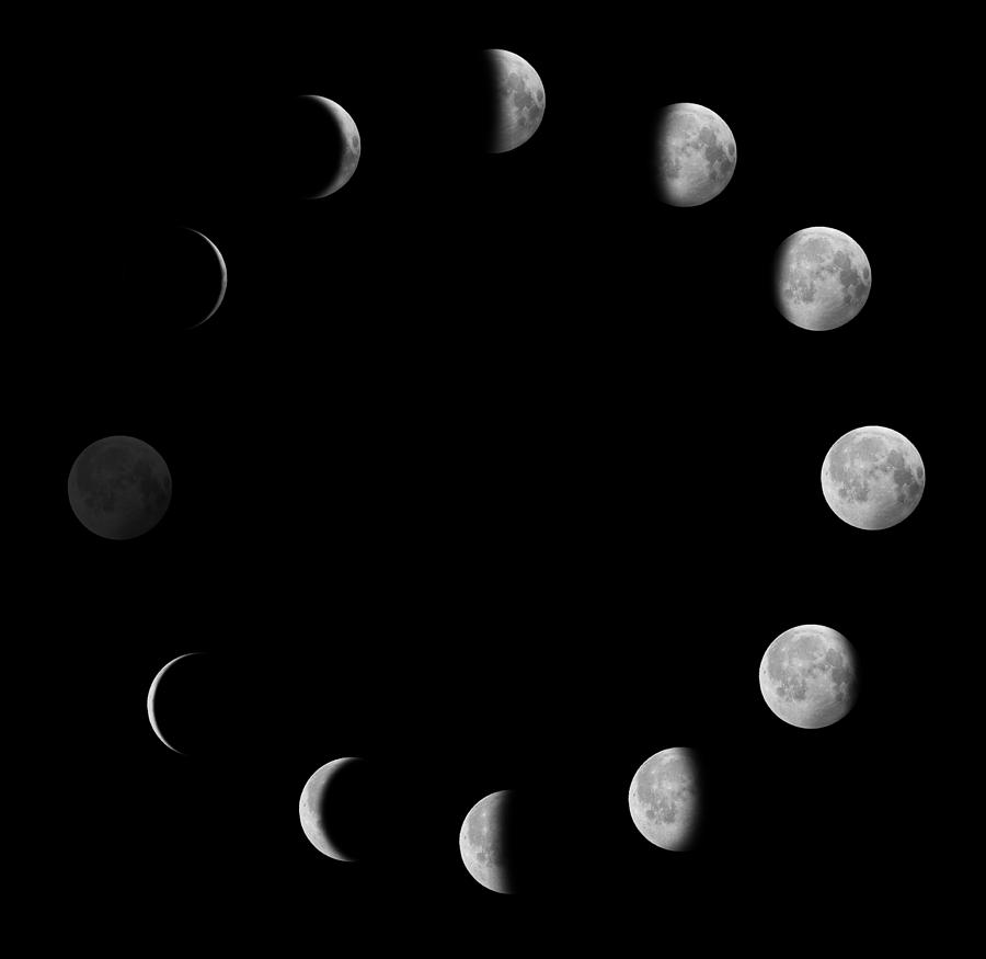Moon phases Photograph by Becart