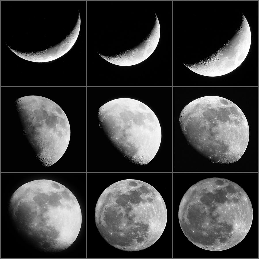 Moon Progression Photograph by Jackson Pearson