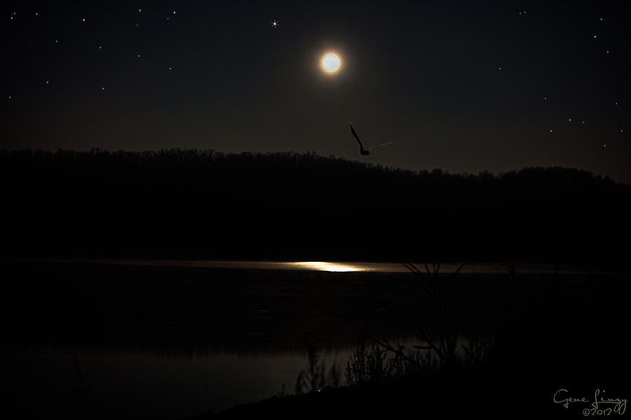 Heron Photograph - Moon Reflection in Lake by Gene Linzy