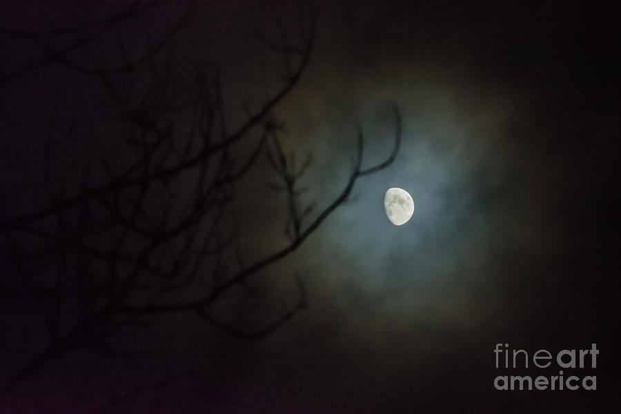 Moon Ring Photograph by Cheryl Baxter