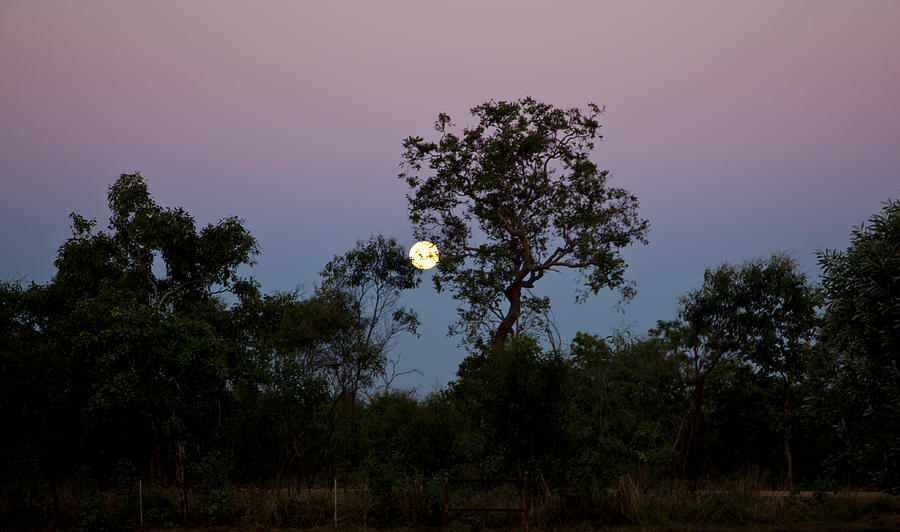 Landscape Photograph - Moon Rise by Carole Hinding