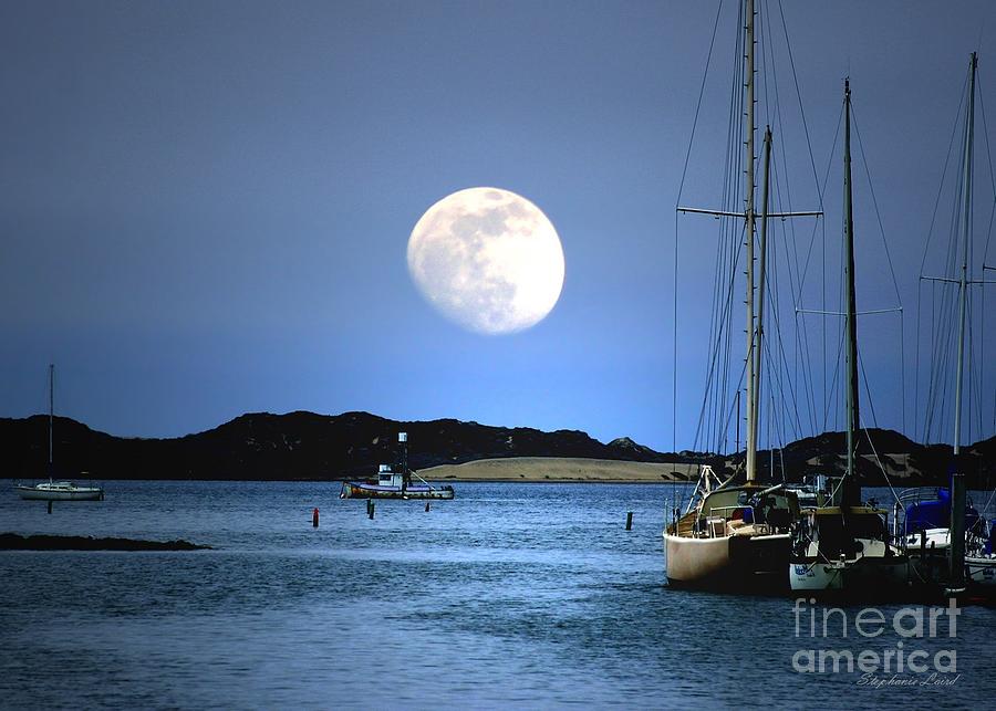 Moon-rise Harbor Photograph by Stephanie Laird