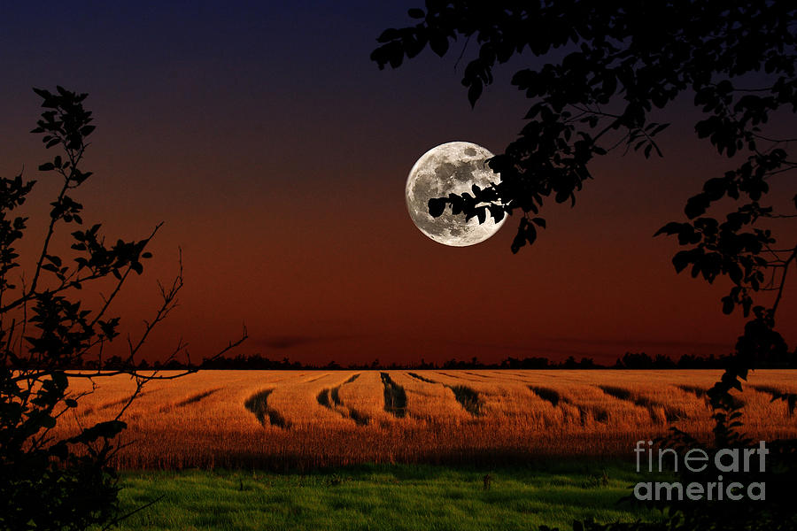 Summer Photograph - Moon Rise by Larry Braun