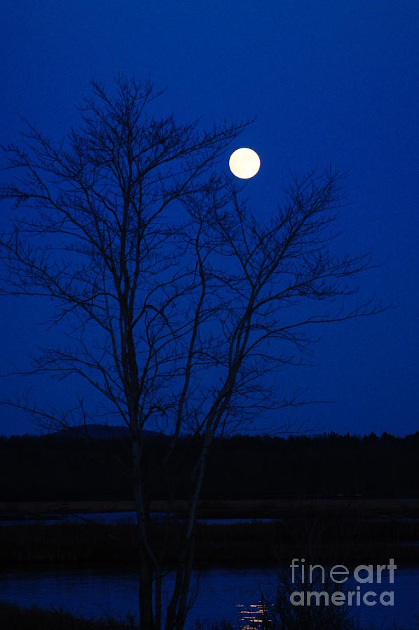 Moon Rise Tupper Lake Photograph