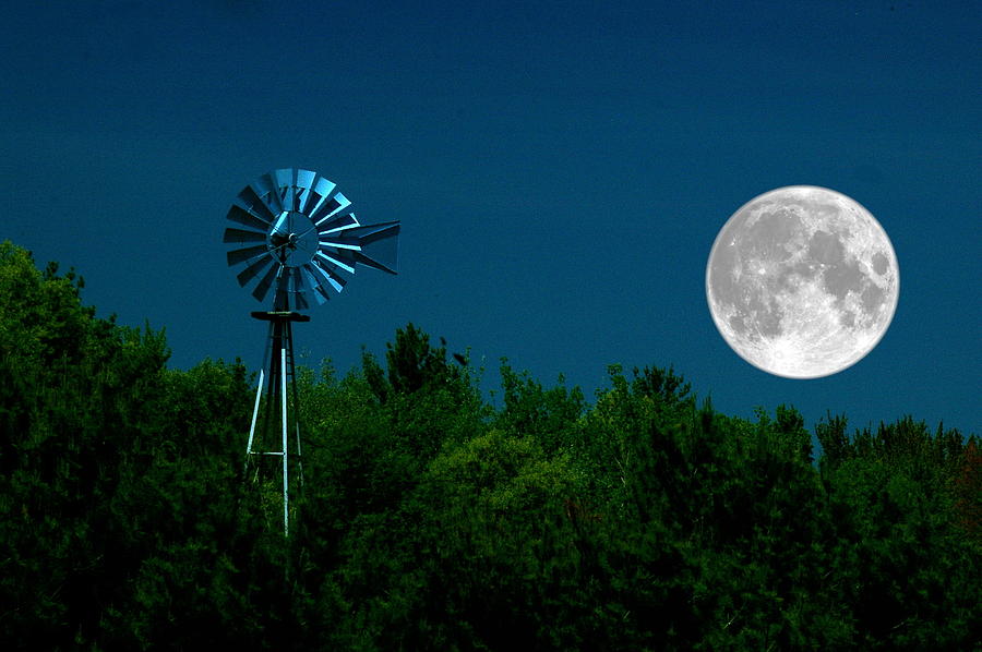 Moon Risen Photograph by Randy Pollard