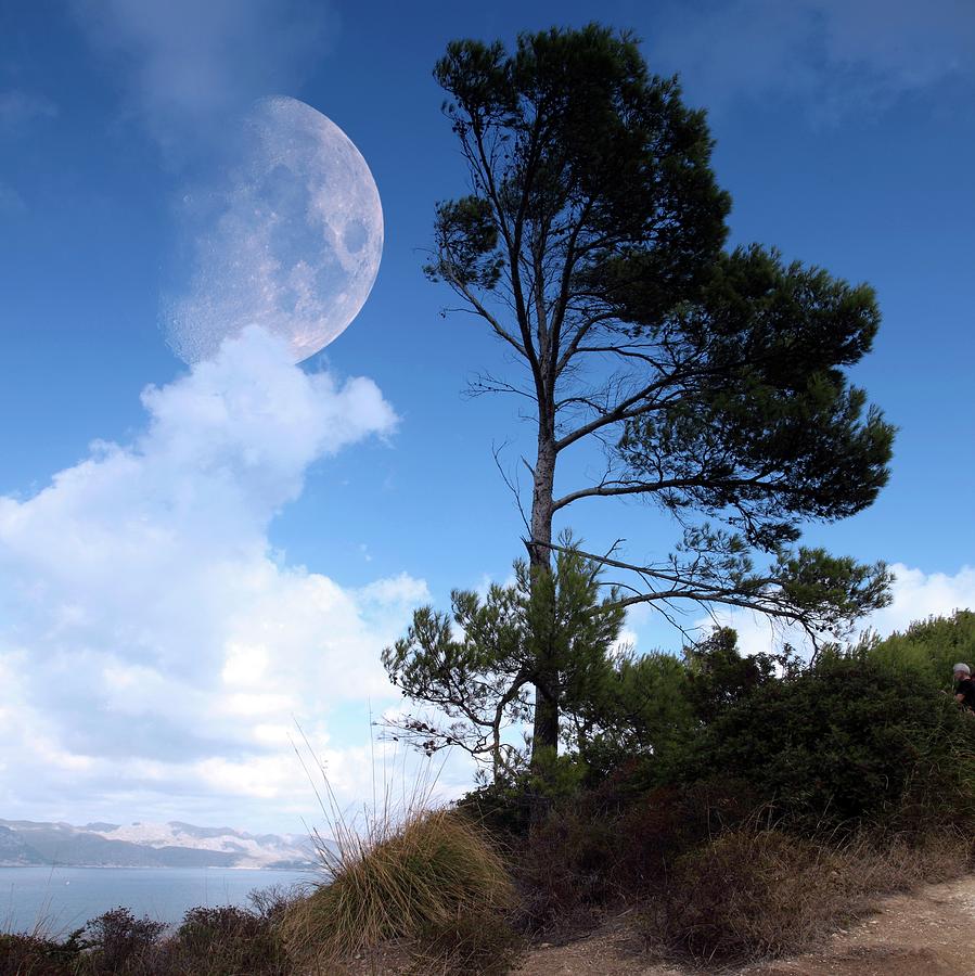Space Photograph - Moon Rising Over An Island by Detlev Van Ravenswaay