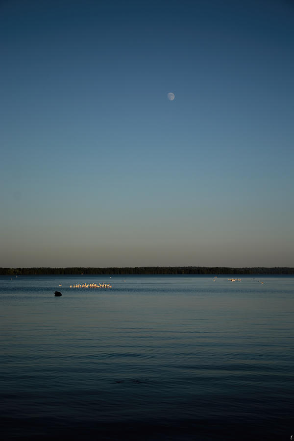 Moon Rising Over Reelfoot Photograph by Jai Johnson