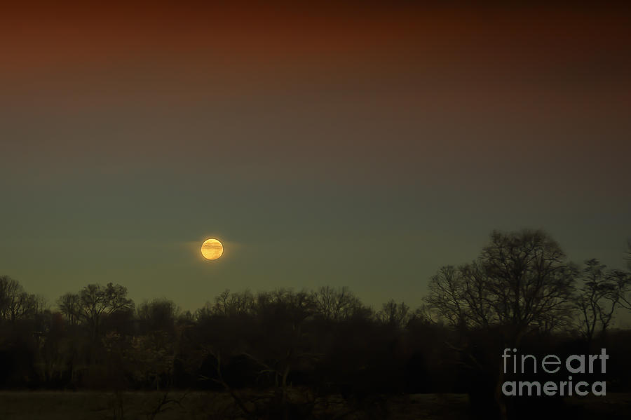 Moon Rising Photograph by Ronald Lutz