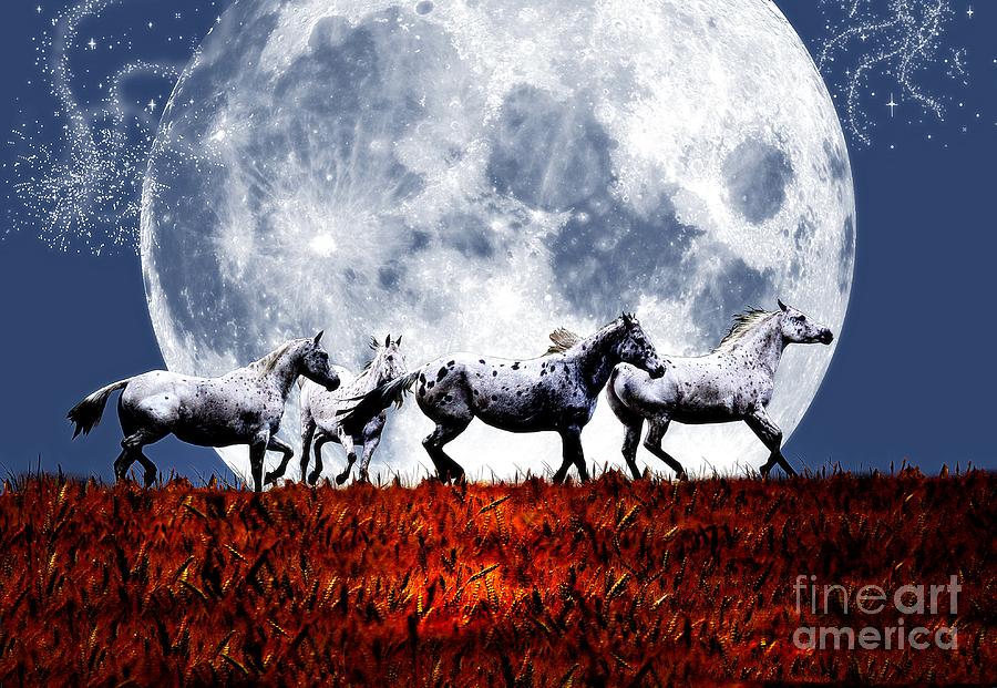Horse Digital Art - Moon Runners by Erica Hanel