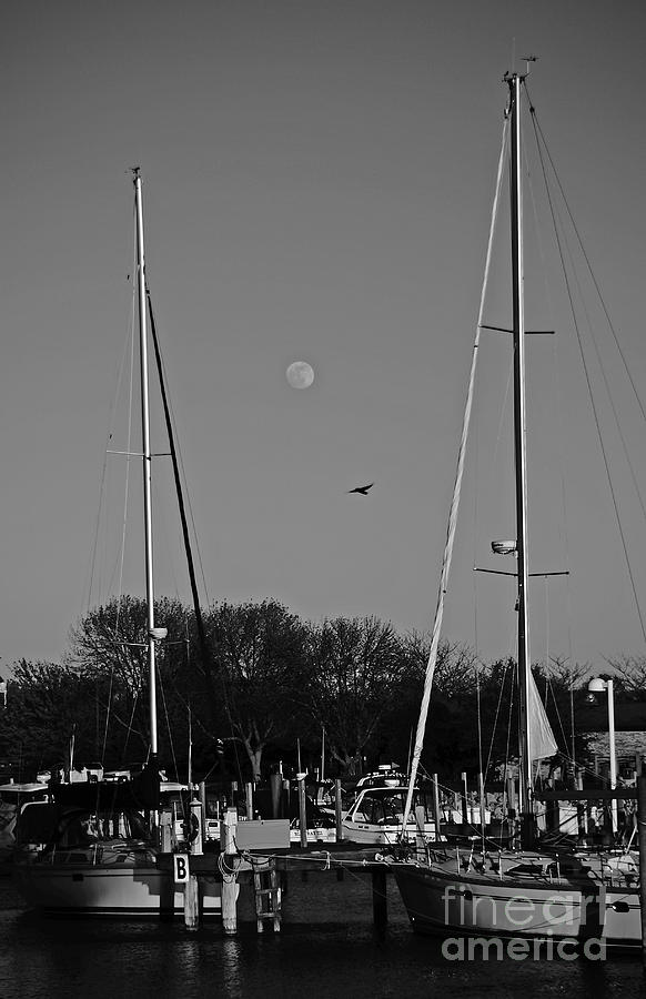 Moon Sailing Photograph by Randall Cogle