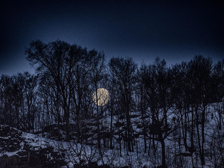 Moon set Photograph by Alan Goldberg
