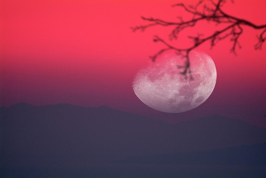 Moon Setting Behind Mountains by Detlev Van Ravenswaay