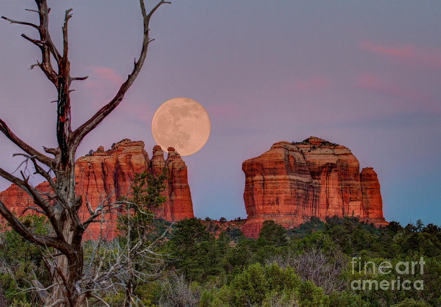 Moon Setting over Cathedral Rock Photograph by Randy Jackson