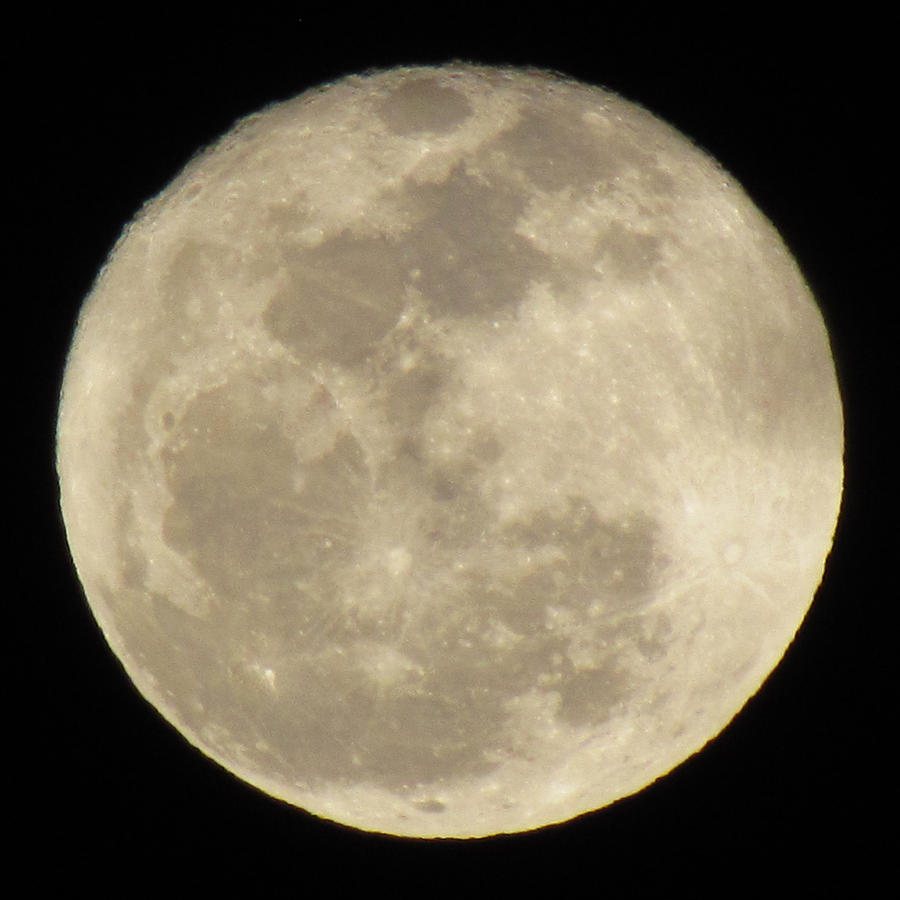 Moon Shine Photograph by John Irons - Fine Art America