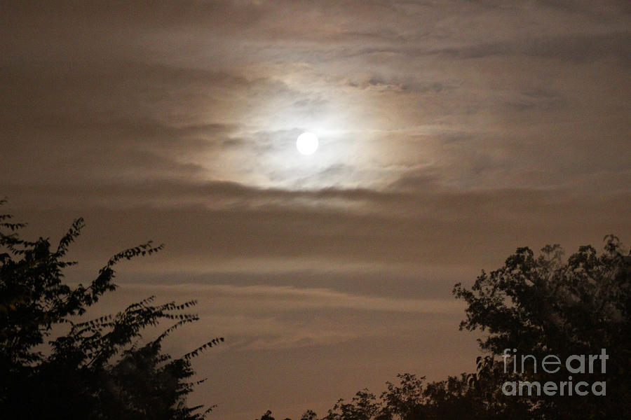 Moon Shine Photograph by Karen Adams