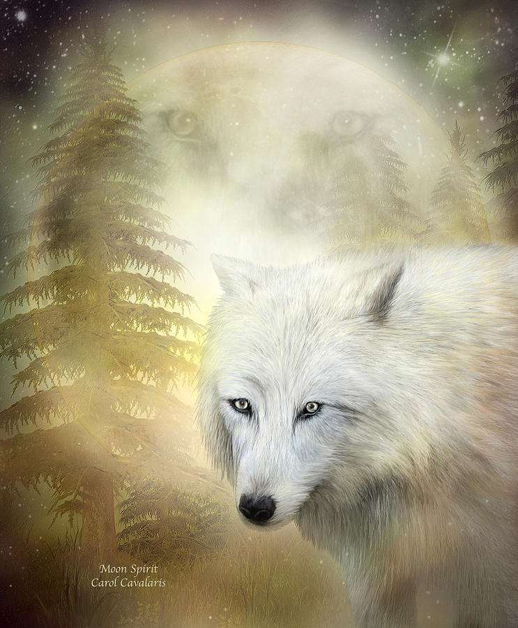 Wolves Mixed Media - Moon Spirit 1 - White Wolf - Golden by Carol Cavalaris