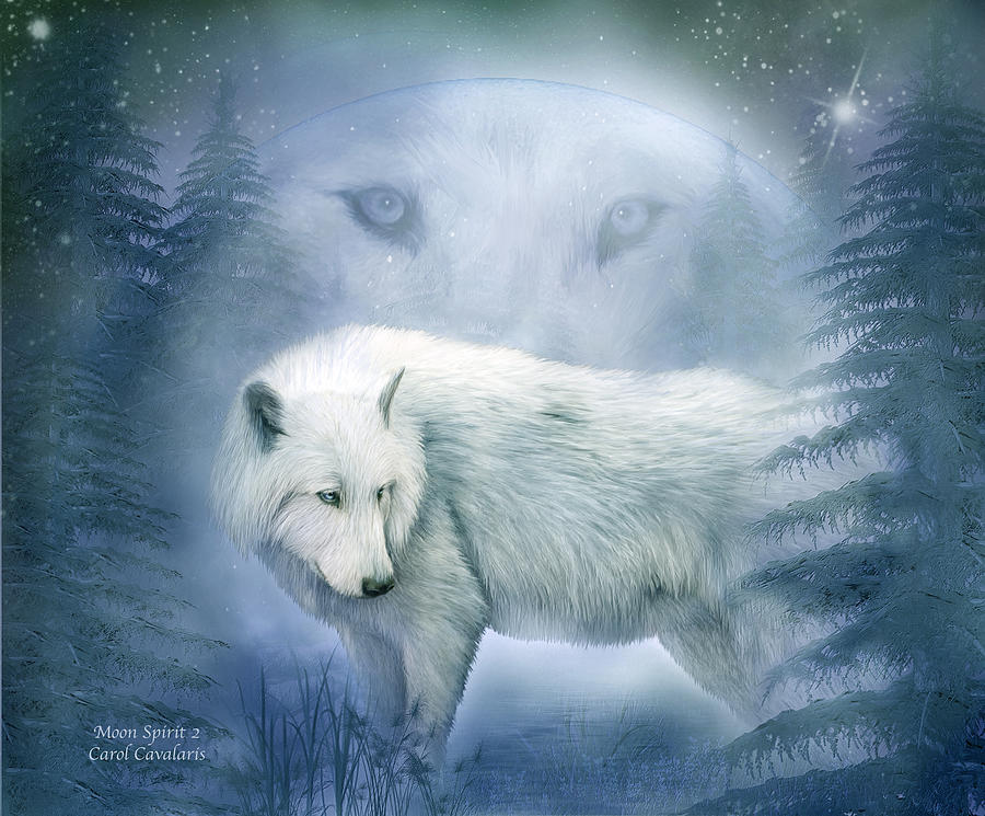 White Wolf Spirit Images & Pictures - Becuo