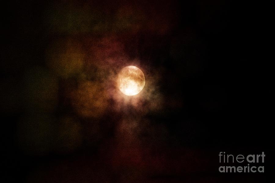 Moon Splash Photograph by Berta Keeney Fine Art America